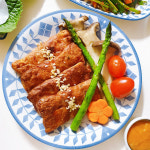 예쁜 수입 일본 그릇 아이카 콧코 치즈플레이트 떡볶이 카레 분식 볶음밥 스파게티 굽 접시 : 레벤쿠첸