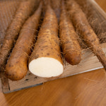 태산농장 안동 마 장마 알뜰 3kg/25년 햇마 : 태산농장