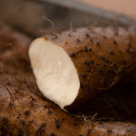 태산농장 2025햇마 참마 장마 5kg 알뜰 중품 상품 : 태산농장