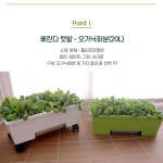 집에서 채소키우기 실내 텃밭 상자 아파트 베란다 텃밭 화분 만들기 세트 : 아이레벨101