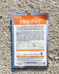 당근종자(봄당근)정품/선홍봄5촌 5g 1봉 : 두레농약종묘센터