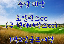 충남 태안 로얄링스cc 1박2일골프여행 : 자이언트골프 서울점