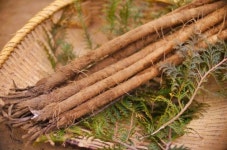 피아노쌤 × 거창농특산물협동조합 : 거창한 농부짱