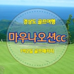 [경상도] 마우나오션cc 1박 2일 골프패키지 : 자이언트 골프