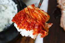 전라도 배추김치 4종 포기 보쌈 김장 맛 김치 : 존맛탱푸드