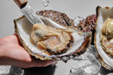 거제도 해녀 바위굴 벚굴 벗굴 3kg : 삼삼해물