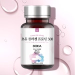푸릇푸릇 초유 콜라겐 프로틴 먹는 저분자 콜라겐 펩타이드 300 : 푸릇푸릇샵