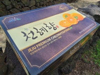 제주 명품 천혜향 10kg 선물세트 농장직영 고당도과일 : 제주웨스트우드수산