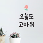 오늘도 고마워 감성 레터링 일러스트 인테리어 스티커 small : 코이핀즈