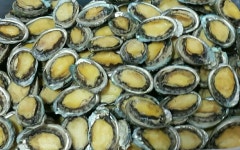 완도전복 라면전복 2kg  80-100미 꼬마전복 전복짬뽕 전복요리 간편한요리 : 영만수산