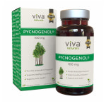 Viva Naturals Pycnogenol 비바 네추럴스 피크노제놀 100mg 60정 : 융융스토어