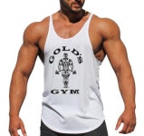 뉴 골드짐 베스트 망고 헬스 나시티 : 피지크히어로