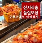 포항 구룡포 홍게 3kg 산지직송 시세 라면 자숙 먹는법 수산 제철 홍개 주문 택배 동해 : 슈슈코리아