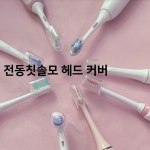 로앤하이 전동칫솔모 헤드 커버 보호캡 : 로앤하이