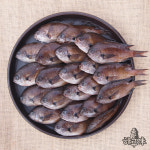 제주도 특산품 국내산 하루미 쌈자리돔젓 400g : 포유 마켓