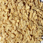 후계자 수입 깐 동부콩 거피 돔부콩 기피 돈부콩 앙금 울타리 1kg 2025년산 : 후계자농산