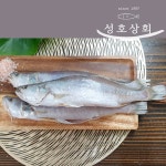 민어조기 3P(30-32cm) 대사이즈 3마리  / 제사생선 / 제수둉생선 / 마산어시장 / 반건조민어조기 / 뾰족조기 / 뾰조기 / 쪼삣조기 / 영상가이석태... 