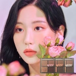 [머지]웜톤 쿨톤 무드핏 섀도우 팔레트 (3color , 8g) : MERZY