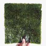 해농 김밥김 골드 230g(100매) 20봉 업소용 대용량 고급 구운 김밥용김 : 주식회사 해농