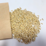 새싹 보리 쉽게 키우기 국내산 보리 씨앗 : 보라사