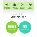 히노키스프레이 피톤치드 편백 워터 나무냄새 액 편백수 스프레이 나무방향제 : 굿리뷰샵