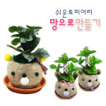 (1+1)망으로토피어리쉽게만들기/체험학습/DIY : 명작화분명작토피