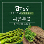 담비농장 여름두릅 종근/모종 : 열매마담비농장