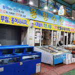 새콤달콤 맛있는 고창 용정수산 홍어무침 1kg : 고창 용정수산