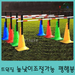 높낮이조절가능평행봉 체육용품,체육교구,학교체육,운동회,실버교구,워크숍,스포츠용품,트윈짐 : TWINGYM