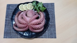 냉동 자숙 문어 800g 900g 1kg 이상 : 바담수산
