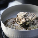 통영 개체굴 1kg 2-3미 굴석화 바위굴 각굴 석굴 생굴 굴택배 : 통영 대영수산