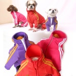 백수 츄리닝 강아지옷 올인원 강아지산책 : 해피앤퍼피