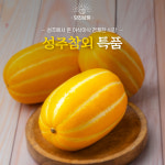 성주참외 특품 : 당진상회