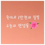 숙이네 힐링꽃 화훼농가살리기 농장직송 : 숙이네 힐링플라워
