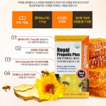 프리미엄 프로폴리스 로얄젤리 농축분말 함유 로열제리 캐나다 건강기능식품 : 원잇플러스헬스