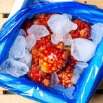 제철 통영 활멍게 2kg 당일수확 : 도레미푸드