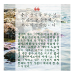[동오] 부드럽고 풀어지지 않는 산후미역 생일미역 자연산돌미역 슈퍼푸드 마른미역 : 바른길쇼핑