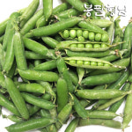 [봉팔형님] 국내산 제철 햇 완두콩 2kg 국산 하우스완두콩 콩깍지 산지직송 : 봉팔형님