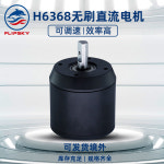 스케이트보드 부속 H6368 전기 스케이트 보드 당진아재 부품 모터 DIY : 전동킥보드 부품