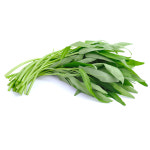 채소팜 공심채 500g 모닝글로리 박붕 깡콩 : 채소팜