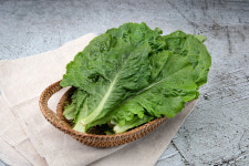 채소팜 로메인 500g 잎로메인 로메인상추 : 채소팜