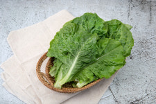 채소팜 로메인 500g 잎로메인 로메인상추 : 채소팜