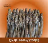 건노가리 700g~이상 (20마리) 국내가공 (줄노가리) : 삼천포 전통건어물