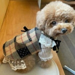 마이앨리스독 사이즈 2XL 도레미 울 체크 멜빵 핸드메이드 탑 명품 강아지옷 애견옷 애견의류 강아지옷 브랜드 명품옷 : 마이앨리스독
