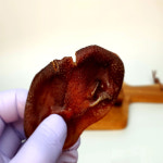 수제간식 돼지코 애니멀쉐프 : 애니멀쉐프