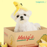 [더같이가치] 강아지 메리s 바나나 노즈워크 장난감 x 강아지 노즈워크 x 강아지토이 : THE같이가치
