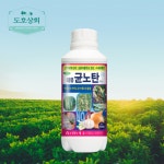 마늘 양파 파 쪽파 부추 달래 잎마름병 반점 잎끝마름 병 소독약 생육 증진 구근 뿌리 증대 : 도호상회