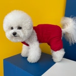 몽블리 강아지옷 항아리 슬립 올인원 : mongvely