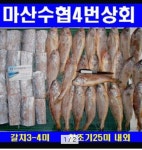 국산 선동 가자미 병어 먹갈치 참조기 삼치 고등어 갑오징어 먹고싶은것 골라담기 : 마산수협중매인 4번상회