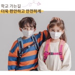 국내생산 라이온 마스크 소형 10매 50매 100매 어린이 입체마스크 벤틀리마스크 : 초록별마트